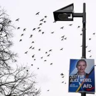 Germania, Afd primo partito: il sondaggio premia l'estrema destra
