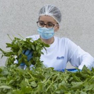 Barilla, fino a 650.000 analisi l'anno e 250 risorse dedicate per la sicurezza nel piatto Barilla, fino a 650.000 analisi l'anno e 250 risorse dedicate per la sicurezza nel piatto