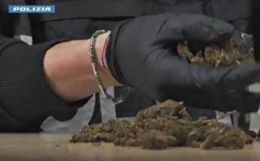 Maxi operazione della polizia: 1.335 arresti, sequestrati 450 kg di droga Maxi operazione della polizia: 1.335 arresti, sequestrati 450 kg di droga