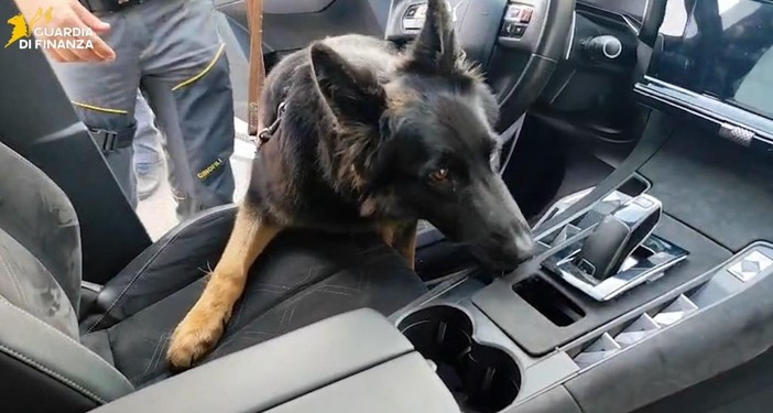 Maxisequestro di 22 Kg di cocaina nel catanese, arrestato 36enne serbo Maxisequestro di 22 Kg di cocaina nel catanese, arrestato 36enne serbo