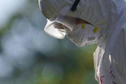 Aviaria, l'allarme dell'Ecdc: &quot;In Europa più rischi per l'uomo&quot;, cosa sta succedendo