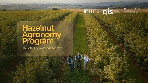 Al via l’Hazelnut Agronomy Program promosso da Ferrero, Eiis e Conaf Al via l’Hazelnut Agronomy Program promosso da Ferrero, Eiis e Conaf