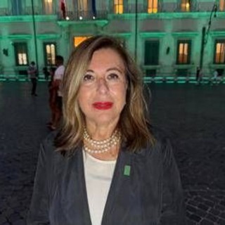 Sla, Massimelli (Aisla): "Diritto alla cura deve essere uguale su tutto il territorio nazionale" Sla, Massimelli (Aisla): "Diritto alla cura deve essere uguale su tutto il territorio nazionale"