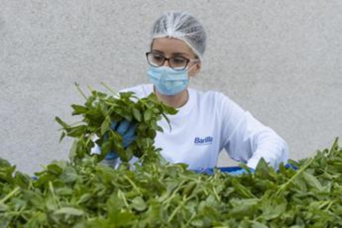 Barilla, fino a 650.000 analisi l'anno e 250 risorse dedicate per la sicurezza nel piatto
