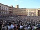 Palio di Siena, domani la grande sfida dell'Assunta: dove vederla in tv Palio di Siena, domani la grande sfida dell'Assunta: dove vederla in tv