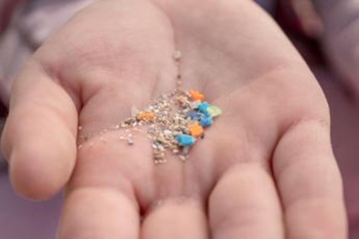 Salute, studio italiano: "Infarti più gravi con microplastiche, fumo e inquinamento"