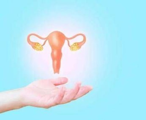 In Italia 15 nuove diagnosi al giorno di cancro all'ovaio, al via campagna 'Insieme di Insiemi' In Italia 15 nuove diagnosi al giorno di cancro all'ovaio, al via campagna 'Insieme di Insiemi'