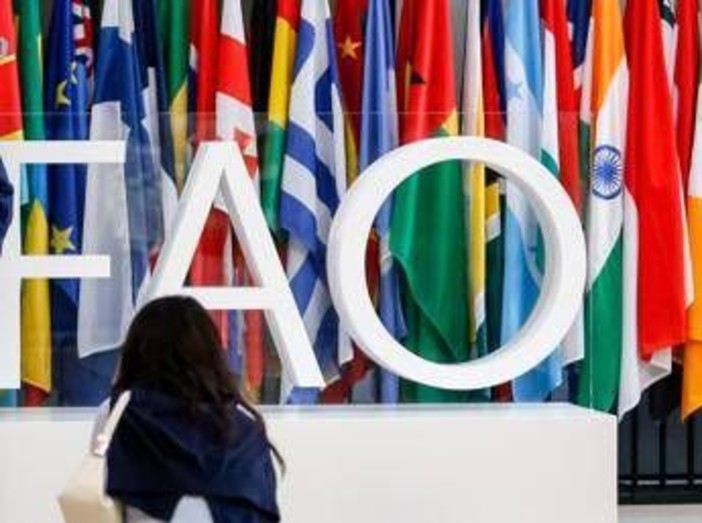 Fao, Tajani: "Italia candida Maurizio Martina alla guida"