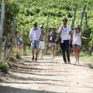 Turismo, UniCredit-Nomisma Wine Monitor: da quello del vino 3 miliardi di valore per cantine Turismo, UniCredit-Nomisma Wine Monitor: da quello del vino 3 miliardi di valore per cantine