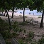 Cina, tifone Noul devasta la provincia del Guangdong: evacuate 800mila persone