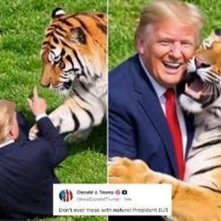 Uomo sbranato da una tigre, Trump posta il video: "Non si scherza con la natura". Poi pubblica la parodia con IA