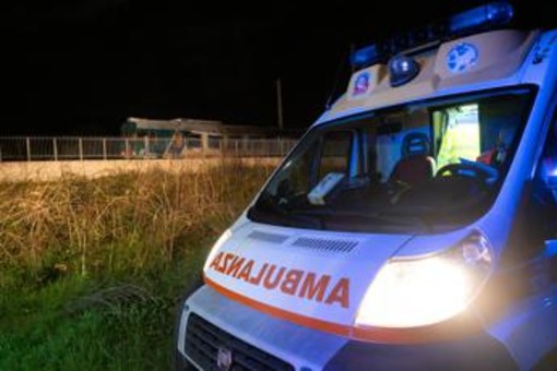 Crotone, scontro tra due auto e cavalli vaganti: morta una donna Crotone, scontro tra due auto e cavalli vaganti: morta una donna