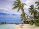 Cinque italiani morti alle Maldive durante un'immersione