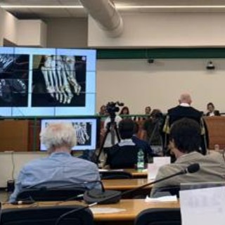 Regeni, il pm: "Corpo di Giulio spezzato dal dolore, Egitto ha protetto gli aguzzini" Regeni, il pm: "Corpo di Giulio spezzato dal dolore, Egitto ha protetto gli aguzzini"