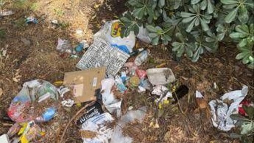 Roma, aiuole e marciapiedi nel degrado intorno alla Nuvola: all’Eur cittadini costretti a camminare fra le auto