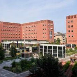 Università, Milano-Bicocca assume: 15 posti aperti tra risorse umane, ricerca e infrastrutture Università, Milano-Bicocca assume: 15 posti aperti tra risorse umane, ricerca e infrastrutture