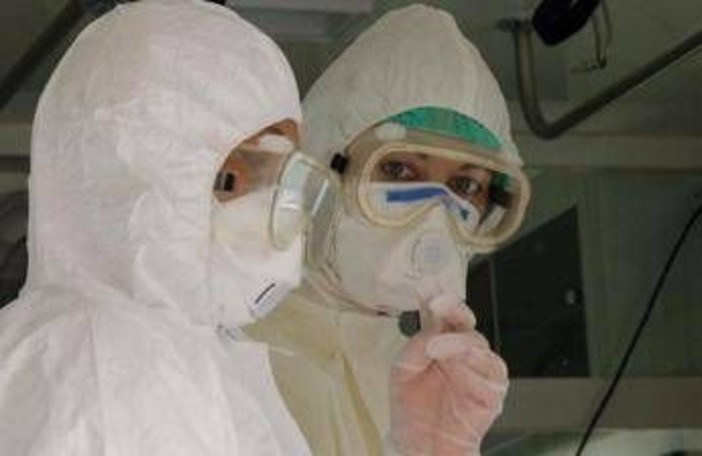 Virus Shamonda, Lopalco: "È favorito da crisi climatica, svegliamoci" Virus Shamonda, Lopalco: "È favorito da crisi climatica, svegliamoci"