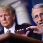 Covid Usa, Fauci si avvale del quinto emendamento. Trump: "Sue idee folli" Covid Usa, Fauci si avvale del quinto emendamento. Trump: "Sue idee folli"
