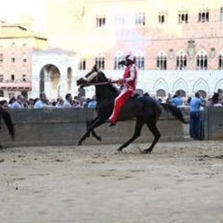 Palio Siena, la Contrada della Giraffa vince la terza prova Palio Siena, la Contrada della Giraffa vince la terza prova