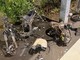 Incidente mortale a Savona, padre autore video: "Sono disperato, voglio chiedere perdono ai genitori di Sofia ed Emma"