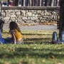 Weekend senza allerta rossa caldo, oggi solo una città con bollino giallo Weekend senza allerta rossa caldo, oggi solo una città con bollino giallo