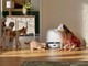 Animali, sondaggio Roborock rivela come cambia l'igiene domestica per i pet parent italiani
