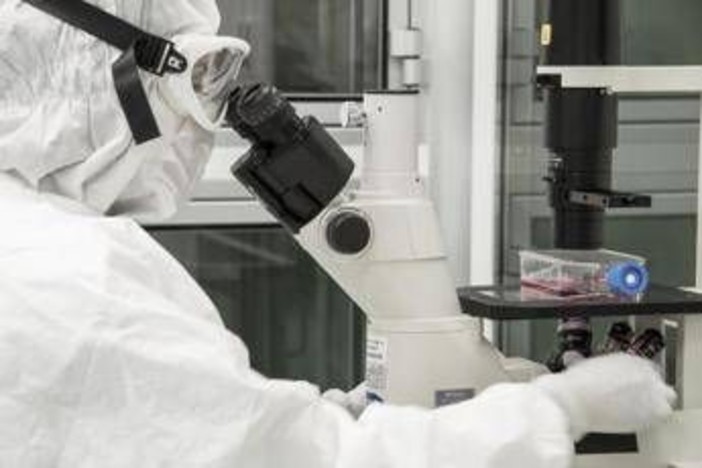 Nuovi virus creati con l'intelligenza artificiale: "E' una svolta per produrre farmaci e terapie"